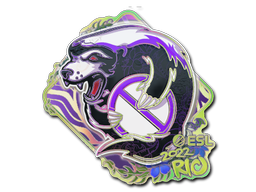 Item Sticker | Outsiders (Holo) | Rio 2022