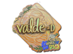 Item Sticker | v4lde (Holo) | Rio 2022