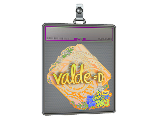 Item Sticker Slab | v4lde (Holo) | Rio 2022