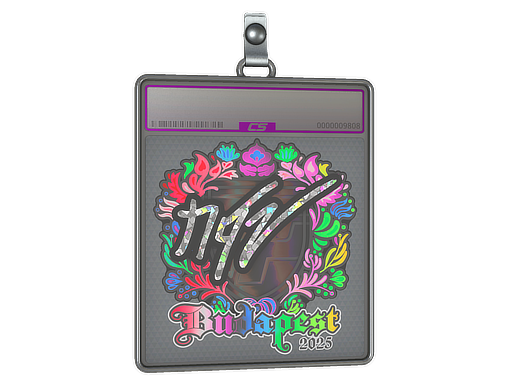 Item Sticker Slab | NQZ (Holo) | Budapest 2025