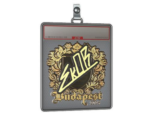 Item Sticker Slab | sk0R (Gold) | Budapest 2025