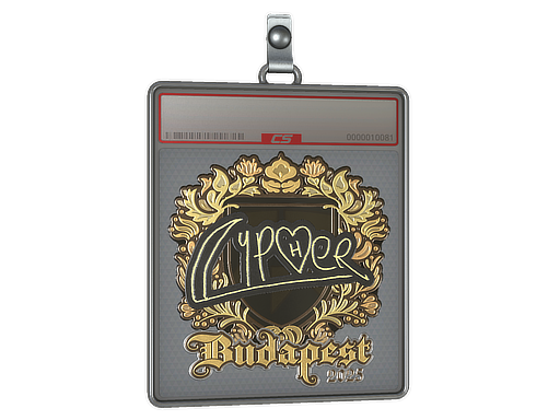 Item Sticker Slab | Cypher (Gold) | Budapest 2025