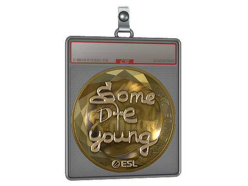 Item Sticker Slab | sdy (Gold) | Katowice 2019