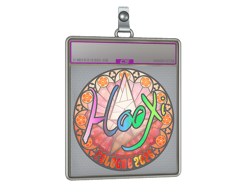 Item Sticker Slab | HooXi (Holo) | Cologne 2026