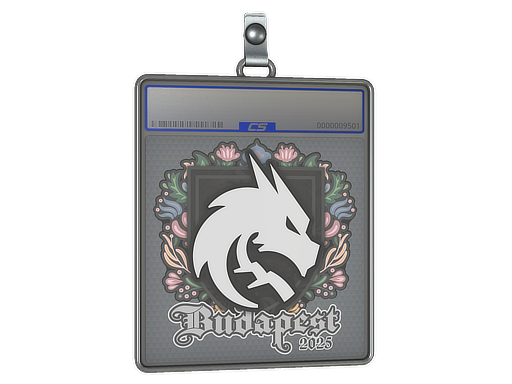 Item Sticker Slab | Team Spirit | Budapest 2025