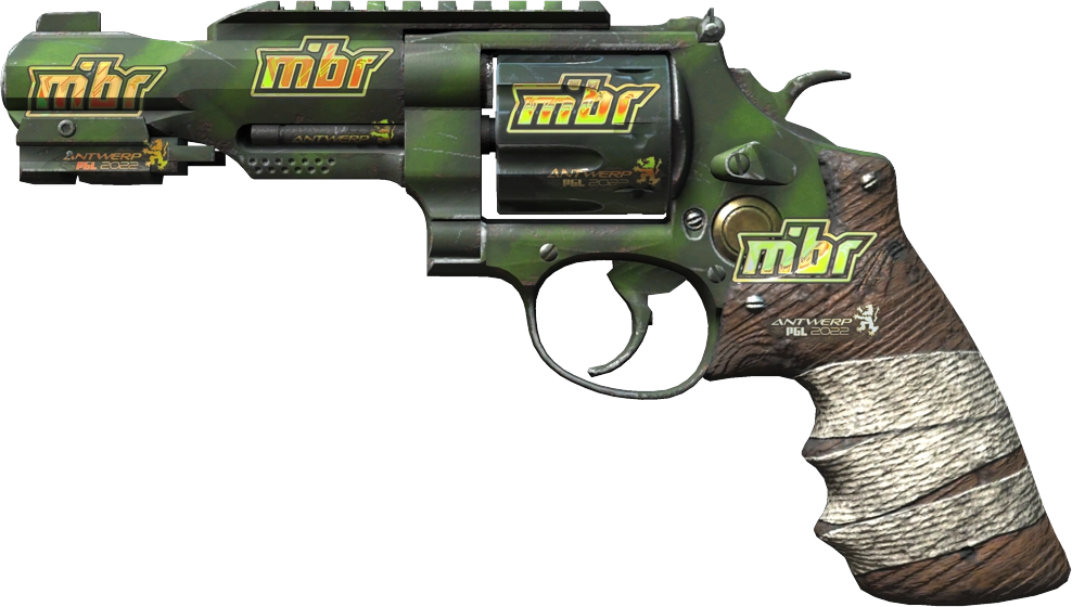 Item R8 Revolver | Survivalist