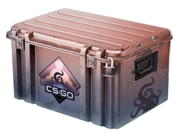 Buy Desert Supply Box – price from $0.56 - Buy skins on