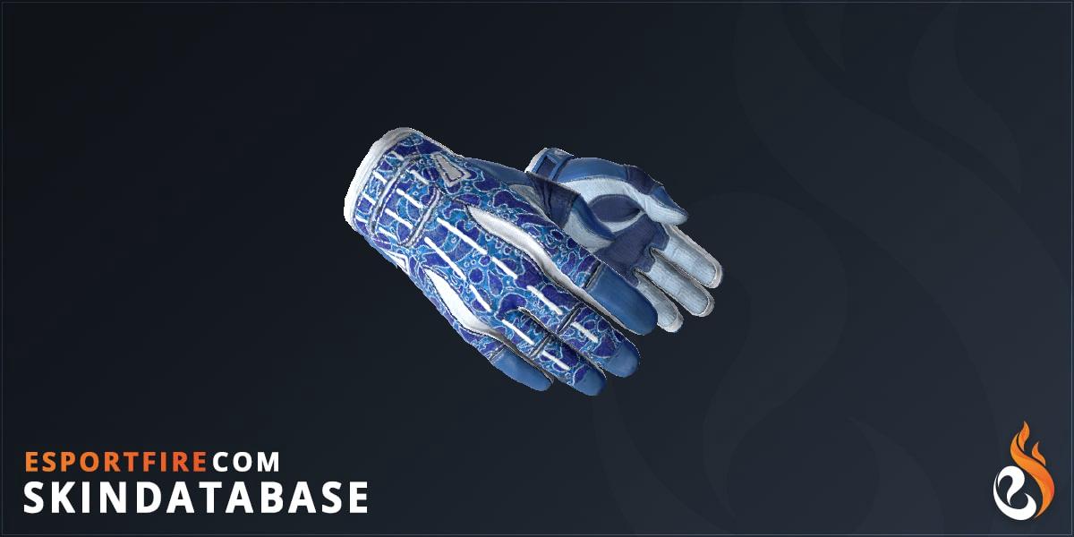 Sport Gloves Amphibious