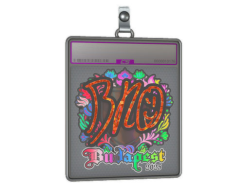 Item Sticker Slab | br0 (Holo) | Budapest 2025