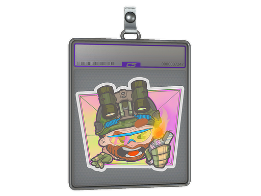 Item Sticker Slab | Try Hard (Holo)