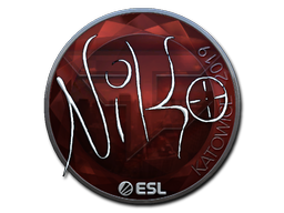 Item Sticker | NiKo (Foil) | Katowice 2019