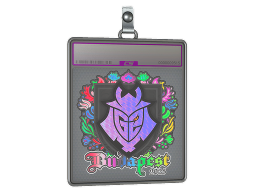 Item Sticker Slab | G2 esports (Holo) | Budapest 2025