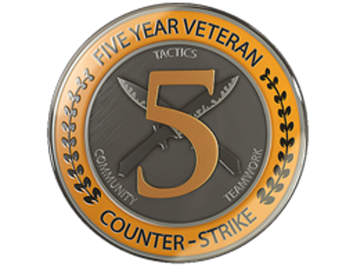 Item 5 Year Veteran Coin