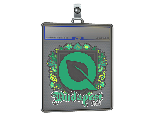 Item Sticker Slab | FlyQuest | Budapest 2025
