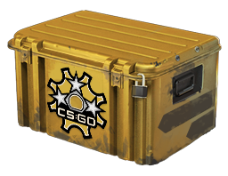 Item Revolver Case