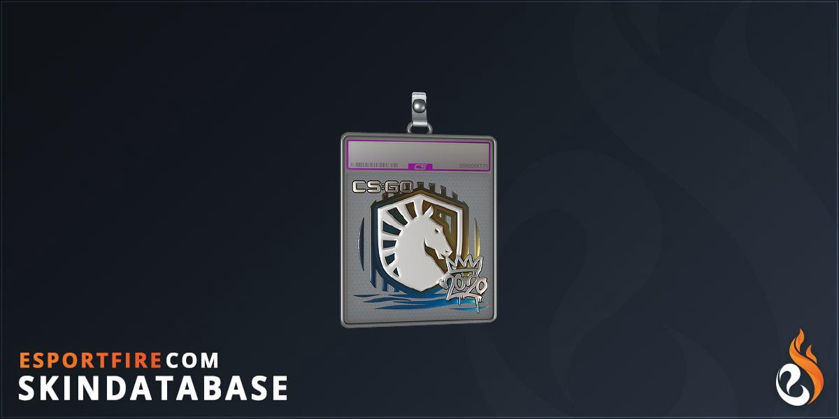 Sticker Slab | Liquid (Foil) | 2020 RMR - EsportFire.com