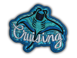 Item Patch | Cruising Ray