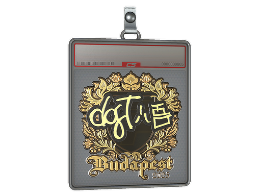Item Sticker Slab | dgt (Gold) | Budapest 2025