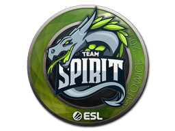 Item Sticker | Team Spirit | Katowice 2019