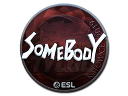 Item Sticker | somebody (Foil) | Katowice 2019