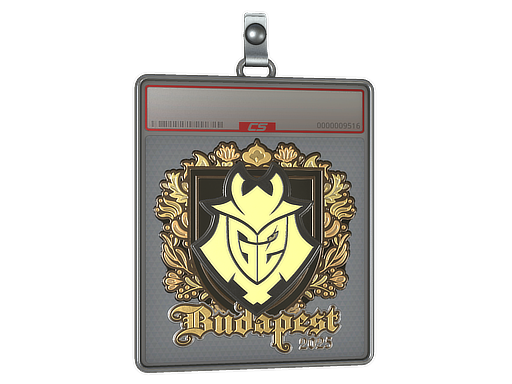 Item Sticker Slab | G2 esports (Gold) | Budapest 2025