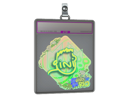 Item Sticker Slab | VINI (Holo) | Rio 2022