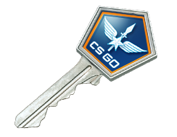 Item Operation Vanguard Case Key