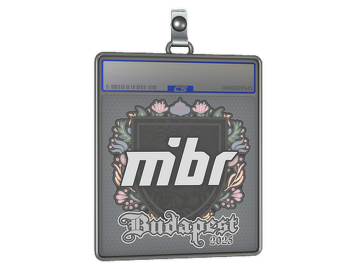 Item Sticker Slab | MIBR | Budapest 2025