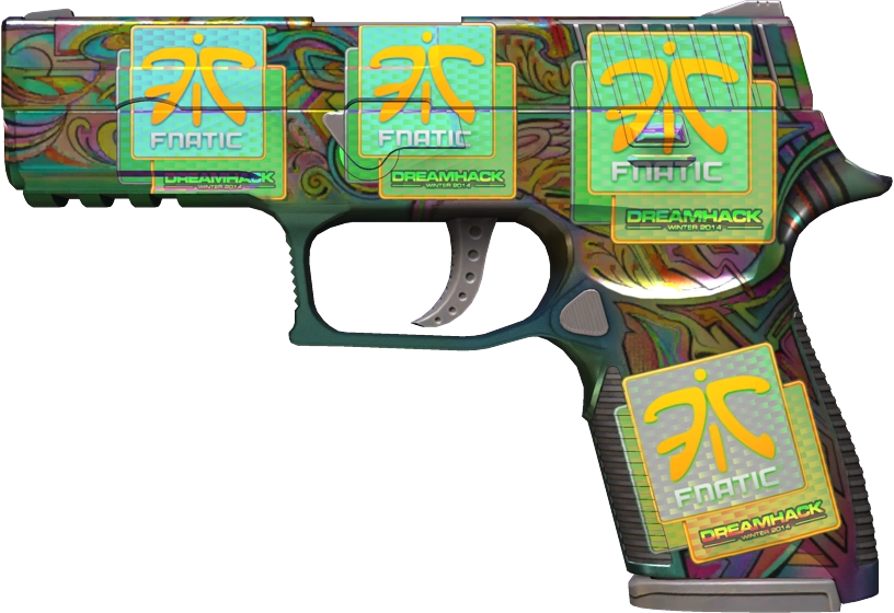 Item P250 | Visions