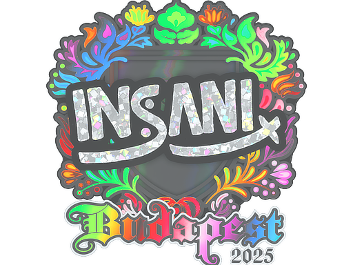 Item Sticker | insani (Holo) | Budapest 2025