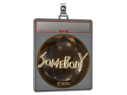 Item Sticker Slab | somebody (Gold) | Katowice 2019