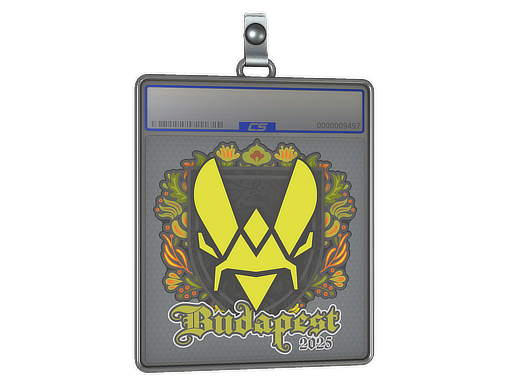 Item Sticker Slab | Vitality | Budapest 2025