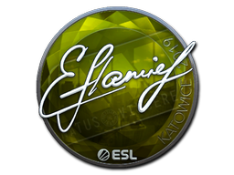 Item Sticker | flamie (Foil) | Katowice 2019