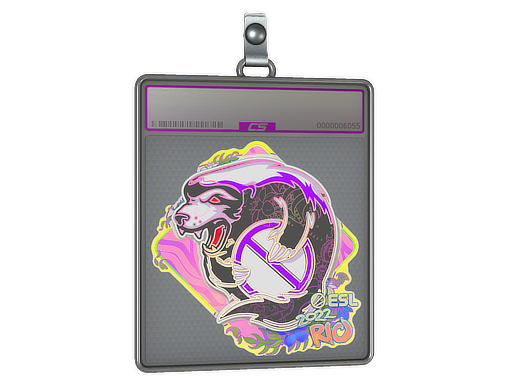 Item Sticker Slab | Outsiders (Holo) | Rio 2022