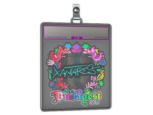 Item Sticker Slab | XANTARES (Holo) | Budapest 2025