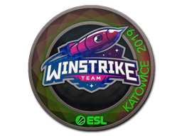 Item Sticker | Winstrike Team (Holo) | Katowice 2019