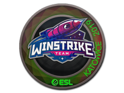 Cosmetic Sticker | Winstrike Team (Holo) | Katowice 2019 of Craft