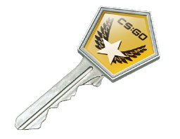 Item Winter Offensive Case Key