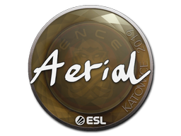 Item Sticker | Aerial | Katowice 2019