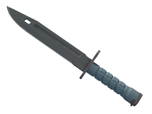 Item Bayonet | Night
