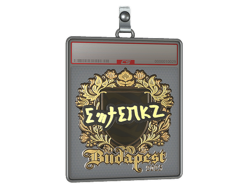 Item Sticker Slab | ewjerkz (Gold) | Budapest 2025
