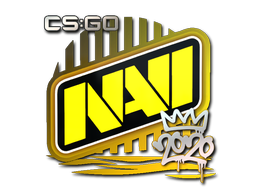 Item Sticker | Natus Vincere | 2020 RMR
