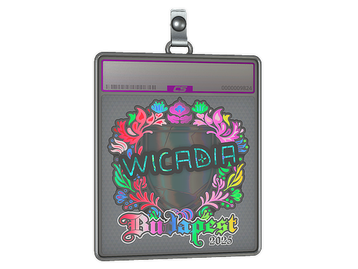 Item Sticker Slab | Wicadia (Holo) | Budapest 2025