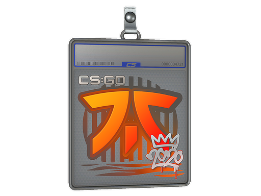 Item Sticker Slab | Fnatic | 2020 RMR