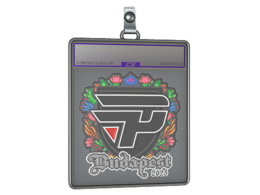 Item Sticker Slab | paiN Gaming (Embroidered) | Budapest 2025
