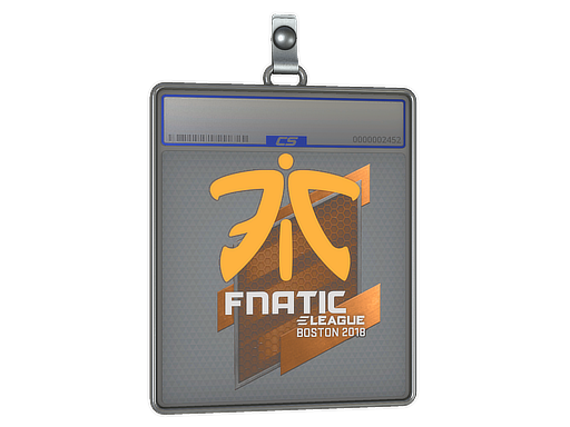 Item Sticker Slab | Fnatic | Boston 2018