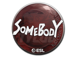 Item Sticker | somebody | Katowice 2019