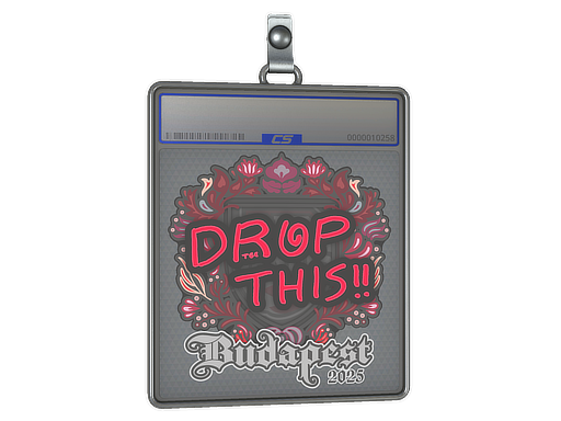 Item Sticker Slab | drop | Budapest 2025
