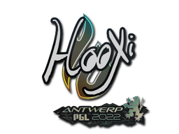 Item Sticker | HooXi | Antwerp 2022
