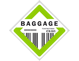 Item Baggage Collection